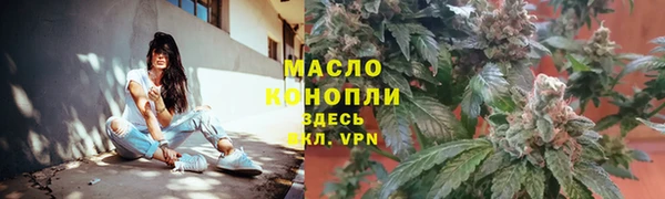 стаф Богданович