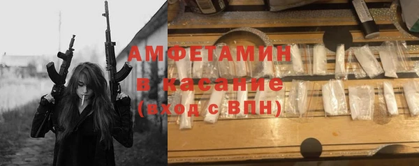стаф Богданович