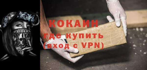 стаф Богданович