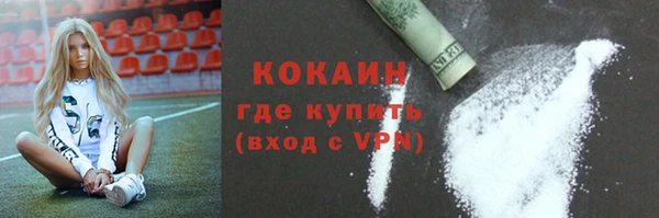 стаф Богданович