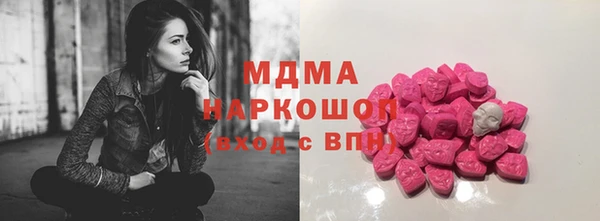 стаф Богданович