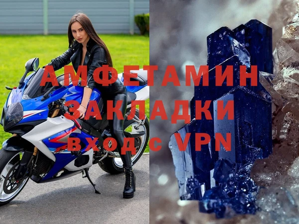стаф Богданович