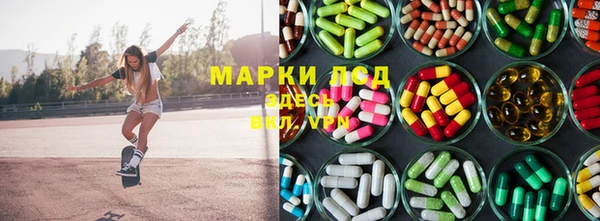 стаф Богданович