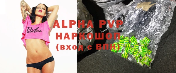стаф Богданович
