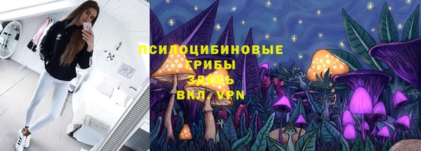 бошки Богородицк