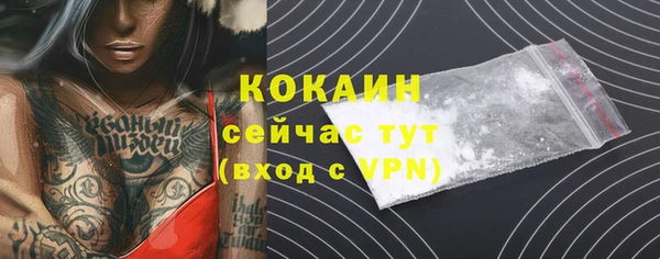 стаф Богданович