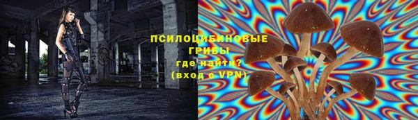 бошки Богородицк