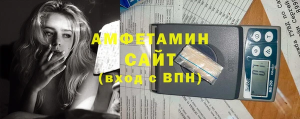стаф Богданович