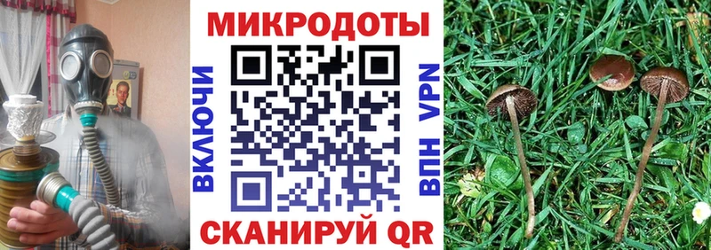 Псилоцибиновые грибы Magic Shrooms  где найти наркотики  Джанкой 